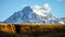 Yellow Grass Meadow with Mountain peak on the Torres del Paine hike in Patagonia, Chile.