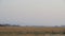 Yellow grasslands with Angola mountians as backdrop