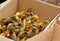 Yellow and gray little broiler baby ducklings with down on the body sit in a cardboard box close-up top view. newborn duck chicks