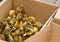 Yellow and gray little broiler baby ducklings with down on the body sit in a cardboard box close-up top view. newborn duck chicks