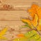 Yellow and green autumn leaves wooden background