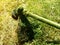 Yellow-green backdrop with electric  manual trimmer with orange braided wire fishing line in mowed grass