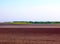 Yellow and green blurred canola field under light blue sky