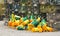 Yellow and green buoys with lobster traps on land