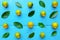 Yellow green calamansi, calamondin or philippine lime tropical fruits and leaves pattern in bright blue wood background.
