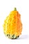 Yellow and green coarse gourds