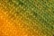 Yellow and green diagonal stockinette stitch background