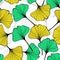 Yellow and Green Ginko Biloba Leaves Pattern