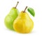 Yellow and green isolated pears