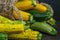 Yellow-green leopard-spotted zucchini. Vegetables on the table. Zucchini harvest.