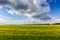 Yellow and green meadow in country side with bright cloud sky, beautiful agriculture landscape