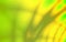 Yellow green  nature eco abstract unusual design