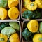 Yellow and green pattypan summer squash