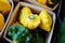 Yellow and green pattypan summer squash