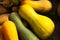 Yellow and green pumpkins close-up, top view.Autumn harvest of pumpkins.