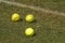 Yellow-green softballs on green grass