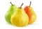 Yellow, green and yellow red isolated pears