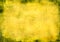 Yellow grunge background