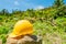 Yellow hard hat with a coffee plantation farm in