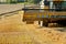 Yellow harvester combine on field harvesting gold wheat