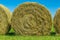 Yellow hay in a field