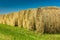 Yellow hay in a field