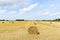 Yellow haystack rolls on harvested field