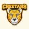 Yellow Head Cheetahs Color Logo Illustration