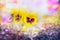 Yellow heartsease flowers on flowers beet on light blurred garden background