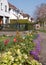 Yellow hellebore and colourful mixed colour aubretia trailing plants growing in a front garden in a suburban street in London UK