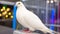 Yellow homing pigeon perched, eye focused on city architecture generated by AI