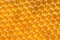 Yellow honeycomb background texture. Honey hexagon cells