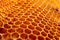 Yellow Honeycomb closeup background