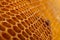 Yellow Honeycomb closeup background