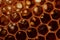 Yellow Honeycomb closeup background