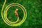 Yellow hose with a nozzle lies on green lawn folded in rings on garden.