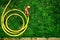 Yellow hose with a nozzle lies on green lawn folded in rings on garden.