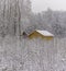 Yellow house in the snowy December forest