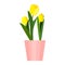 Yellow house tulips plant in pot. Green leaf tulip flower flat. Vector