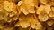 Yellow Hydrangeas flowers with water drops background. Closeup of blossom with glistening droplets. Generative AI