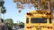 Yellow iconic school bus in Los Angeles, California USA. Classic truck for students back view. Vehicle stoplights for safety of