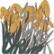 Yellow irises in the grass, abstract illustration