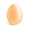 Yellow isolated vector realistic egg with shadow