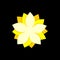 Yellow Jasmine Ornamental Logo Template Illustration Design. Vector EPS 10