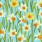 Yellow jonquil daffodil narcissus seamless pattern