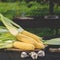 Yellow juicy corn with green leaves lies on a wooden table in the summer garden against the backdrop of a grill