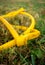 A yellow kinked garden hose