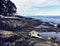 Yellow lab looks out at the ocean along the rocky honeycomb weat