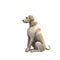 Yellow Labrador Retriever - 01