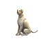 Yellow Labrador Retriever - 02